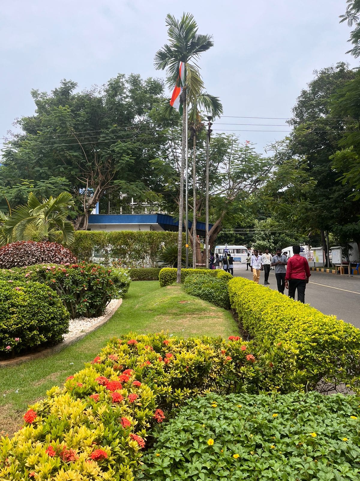 Hariyalee Landscaping